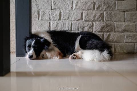 Casamento no por do sol de Alexandre Kapiche e Mayara Rodrigues. Decoração colorida e tropical na Enseada Azul em Búzios - RJ.'