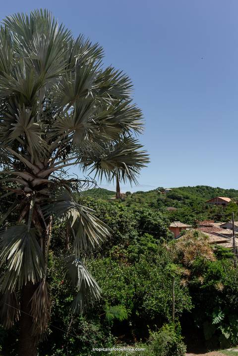 Casamento no por do sol de Alexandre Kapiche e Mayara Rodrigues. Decoração colorida e tropical na Enseada Azul em Búzios - RJ.'