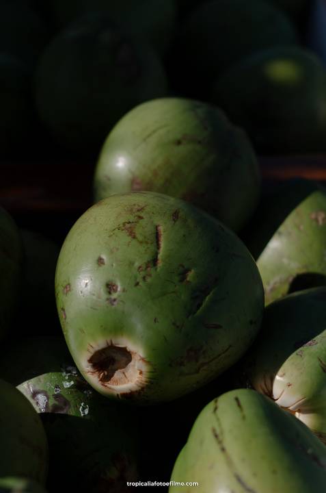 Casamento no por do sol de Alexandre Kapiche e Mayara Rodrigues. Decoração colorida e tropical na Enseada Azul em Búzios - RJ.'