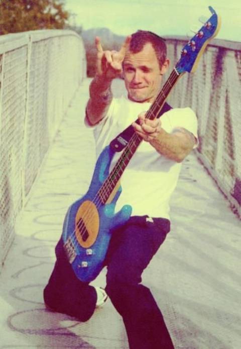 FLEA SENDO FLEA'