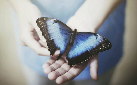 When you sigh, my mind inside just flies... Butterflies '