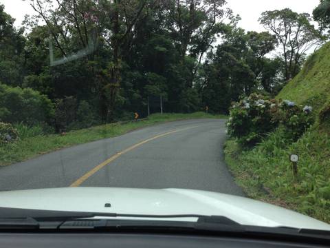 RESPEITO O VERDE DA NATUREZA E TODAS AS OUTRAS CORES PORQUE O MUNDO É MEU E DE TODOS OS OUTROS SERES'