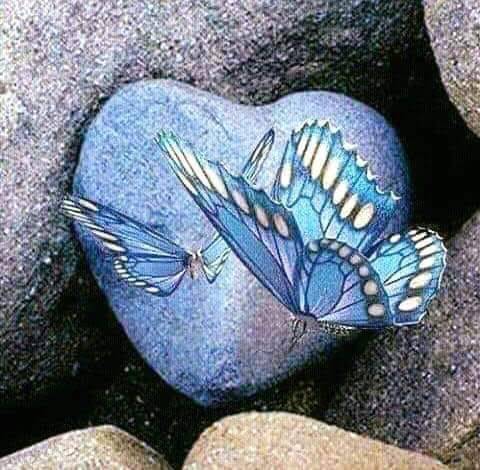 Butterfly, my Butterfly
Dans un mois je reviendrai
Butterfly, my Butterfly
Près de toi je resterai'