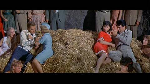 Meu filme preferido do Rei do Rock... COM CAIPIRA NÃO SE BRINCA (KISSIN' COUSINS, 1964)'