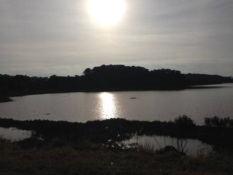 E se quiser saber pra onde eu vou, pra onde tenha sol é pra lá que eu vou'