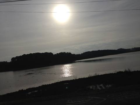 Luz do sol que a folha traga e traduz em verde novo, em folha, em graça, em vida, em força,, em luz'