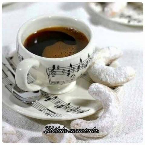 3 acordes multiplicam, são milhões! Letras dizem tudo até o fim (Vinícius Cantuária)'