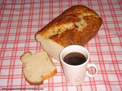 Quem poderá fazer aquele amor morrer se o amor é como um grão: morre e nasce trigo, vive e morre pão'