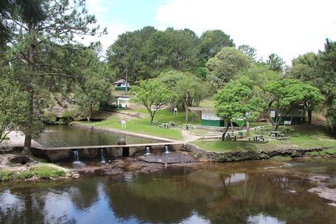 Não sou contra o progresso, mas apelo pra um bom senso; ''Um erro não conserta o outro'', isso é o que eu penso'