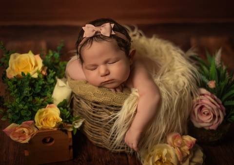 bebê dentro de cestinho com flores e folhas'