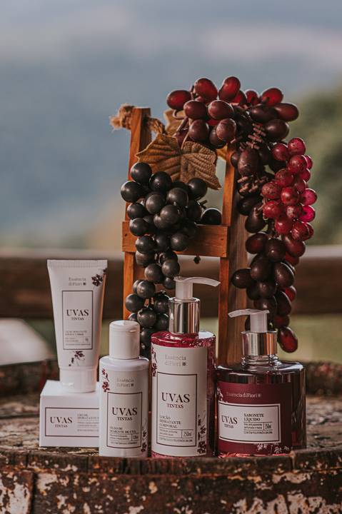 uvas tintas kit - fotografia por aline fontes fotografia e marketing bento gonçalves, rio grande do sul - fotografia de produto'