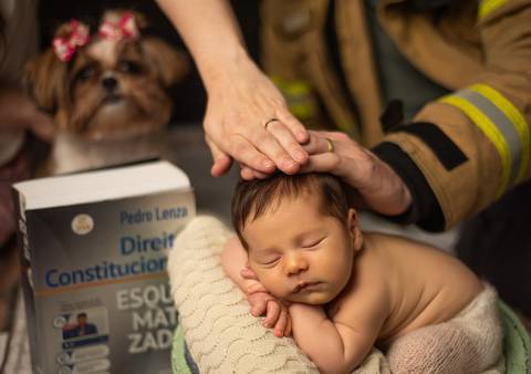 símbolos familiares no ensaio newborn'