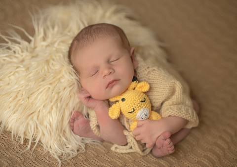 bebê segurando girafinha'