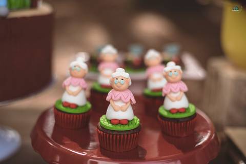 Cobertura fotográfica completa de festas infantis em Carlos Barbosa
'