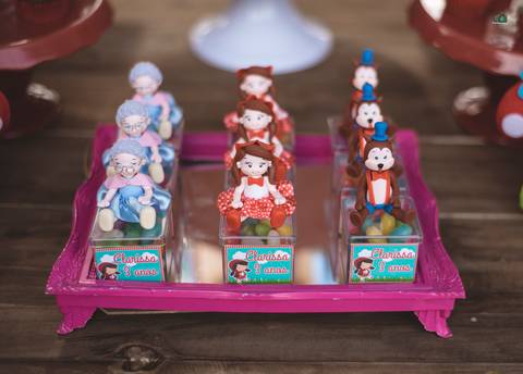 Imagens de eventos infantis e aniversários na Serra Gaúcha
'