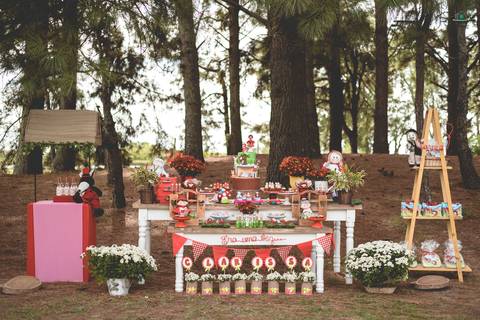 Cobertura fotográfica para festa infantil em Bento Gonçalves'