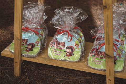 Ensaio fotográfico para festa infantil em Farroupilha
'