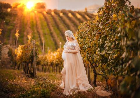 Ensaio ao pôr do sol no parreiral. Gestante envolta em vestido fluido, cenário dourado do Vale dos Vinhedos.'