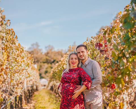 Casal esperando o bebê em meio aos parreirais do Vale dos Vinhedos, em Bento Gonçalves. Ensaio gestante com luz dourada e expressão de afeto.'