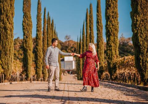 Casal de mãos dadas caminhando entre ciprestes no Vale dos Vinhedos, demonstrando conexão e expectativa pela chegada do bebê.'