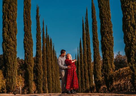 Pai com as mãos sobre a barriga da gestante em frente ao castelo no Vale dos Vinhedos. Cena romântica e simbólica.'