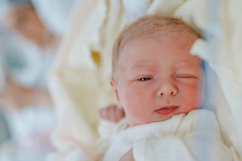 Recém-nascida envolta em manta nos primeiros minutos de vida após cesariana, fotografia de nascimento no Hospital Tacchini.'