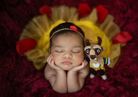 Ensaio newborn tradicional com bebê recém-nascida, pose clássica adaptada em cenário temático A Bela e a Fera'