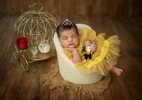 Ensaio newborn tradicional temático A Bela e a Fera, bebê recém-nascida em cenário inspirado no conto clássico'