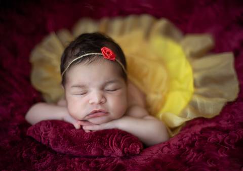 Fotografia newborn temático A Bela e a Fera, bebê recém-nascida deitada com apoio seguro em estúdio'