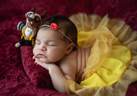 Bebê recém-nascida em ensaio newborn tradicional, cenário vermelho e figurino inspirado na personagem Bela'