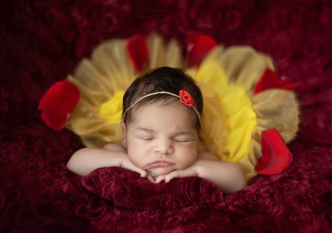 Ensaio newborn temático com bebê recém-nascida, pose confortável respeitando os limites do bebê'