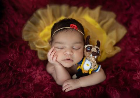 Bebê recém-nascida em ensaio newborn com personagem em amigurumi, cenário inspirado no conto A Bela e a Fera'