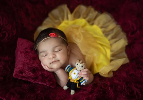 Fotografia newborn temática A Bela e a Fera, bebê recém-nascida em cenário com elementos artesanais'