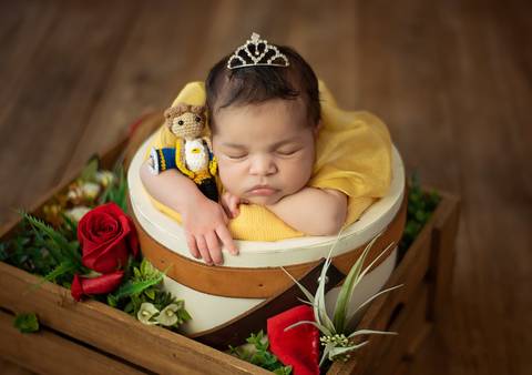 Ensaio newborn tradicional com bebê recém-nascida em cesto, ambientação temática A Bela e a Fera'