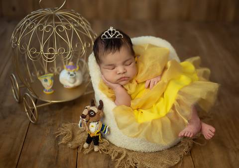 Ensaio newborn temático A Bela e a Fera com bebê recém-nascida, cenário construído sob medida'