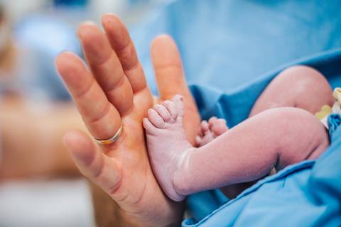 Detalhe dos pés do recém-nascido apoiados na mão de um adulto, logo após o parto hospitalar.'