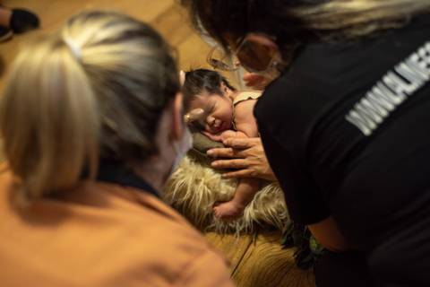 Priscilla Patzlaff, fotógrafa especialista em newborn, durante mentoria com Aline Fontes, focada em prática segura e qualificação profissional.'