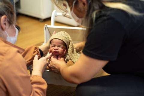 Mentoria prática de fotografia newborn com Aline Fontes e Priscilla Patzlaff, fotógrafa especialista em newborn, ajustando posicionamento e conforto do bebê.'