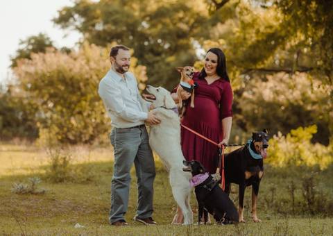 ensaio de gestante com marido e cachorros em área verde'