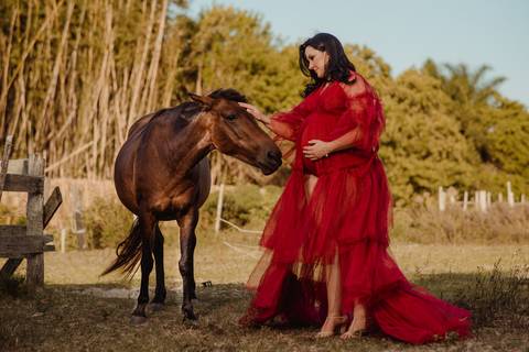 ensaio gestante com cavalo em cenário campestre'