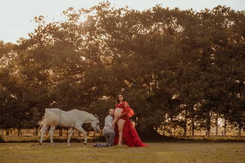 gestante em ensaio com cavalo branco em ambiente rural'