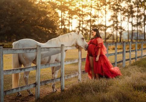 fotografia gestante com cavalo branco em ensaio externo'