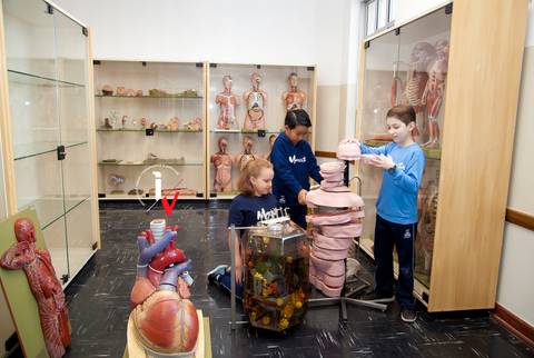 oto de publicidade de escola'