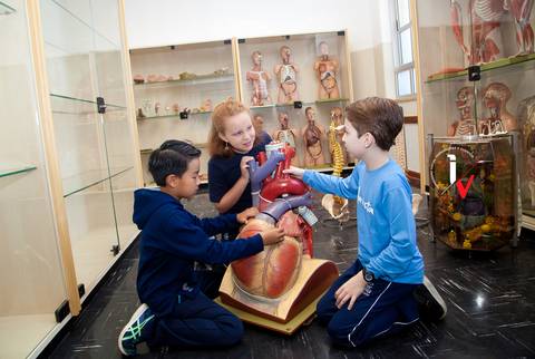 oto de publicidade de escola'