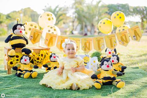 smash the cake-smash the cake abelinha-smash the cake menina-smash the cake bh-fotografa bh '