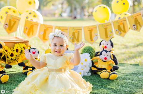 smash the cake-smash the cake abelinha-smash the cake menina-smash the cake bh-fotografa bh '