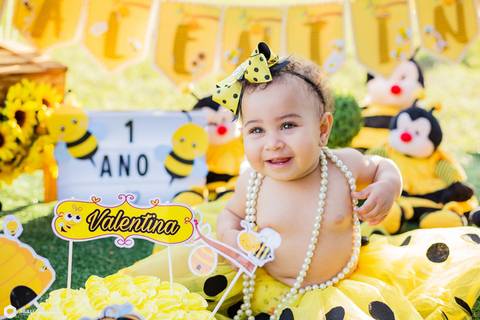 smash the cake-smash the cake abelinha-smash the cake menina-smash the cake bh-fotografa bh '