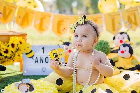 smash the cake-smash the cake abelinha-smash the cake menina-smash the cake bh-fotografa bh '