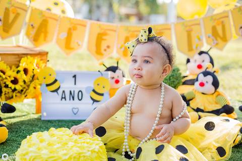 smash the cake-smash the cake abelinha-smash the cake menina-smash the cake bh-fotografa bh '