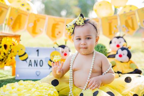 smash the cake-smash the cake abelinha-smash the cake menina-smash the cake bh-fotografa bh '